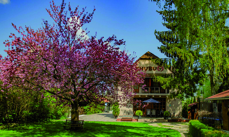 Pihenésre tervezett kert